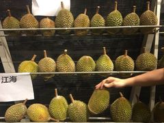 -都念榴莲·城市榴莲