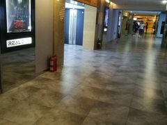 -奥斯卡升龙国际影城(RealD Cinema)