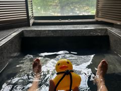 -春晖园度假酒店温泉