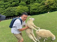 -神户市立六甲山牧场