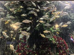 -锦艺城海洋馆