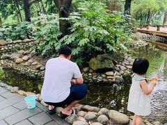 -成都市活水公园