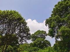 -南山植物园