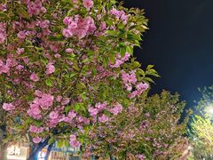 -西北农林科技大学(北校区)