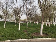 -天津东丽湖风景区