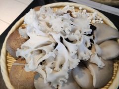 菌类组合-宝弟羊肉馆(众意路店)