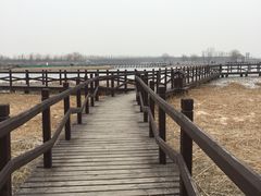 -西青郊野公园