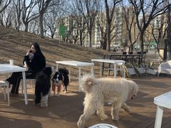 -小意思咖啡店(草桥店)