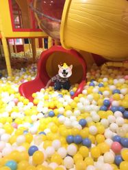 -宝燕乐园(闵行旗舰店)