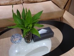 -千枝花·按摩·美容·经络SPA(建旺大厦店)