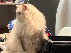 -强记海鲜·大排档(蛇口新街店)