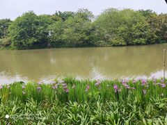 -海珠湖公园