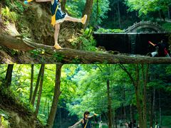 -洛阳白云山景区