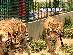 -泉州海丝野生动物世界