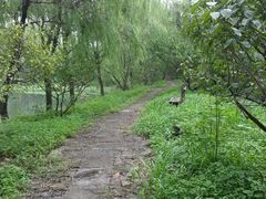 -西溪国家湿地公园