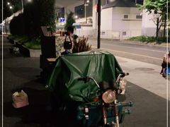 -新疆阿力烧烤