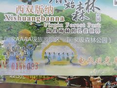 -西双版纳原始森林公园