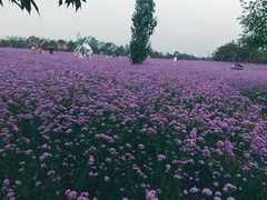 -渔岛海洋度假区