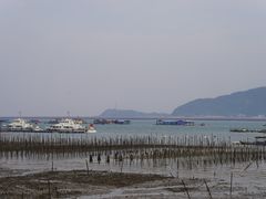 -罗源湾8号渔排