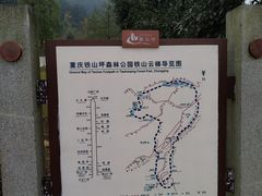 -铁山坪森林公园