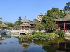 -顺峰山公园