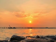 -宝安西湾红树林湿地公园