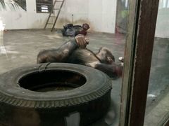 -西安秦岭野生动物园