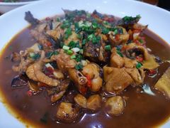 -全乐鱼馆·淳牌有机鱼直营店