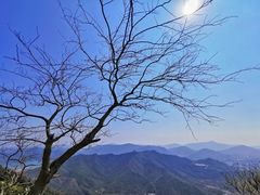 -梧桐山风景名胜区