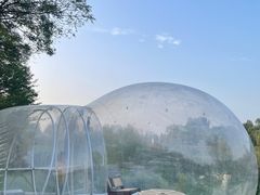 -Supine Bistro溯泮餐厅