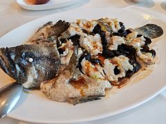 古法原条蒸老虎斑-利苑酒家(合景国际金融广场店)