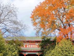 -灵谷景区