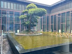 -上海崇明金茂凯悦酒店