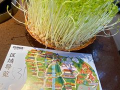-巴倒烫陆派火锅山庄(南山总店)