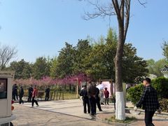 -洛阳市隋唐城遗址植物园