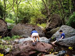 -云岫谷自然风景区