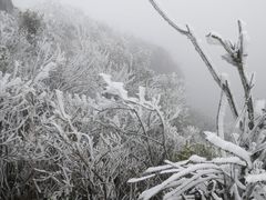 -金子山原生态旅游风景区