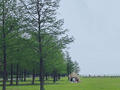 -苏州东太湖生态园