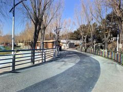 -青龙湖公园