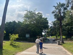 -深圳湾公园(南山区)