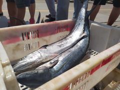 -青岛沙子口国家中心渔港