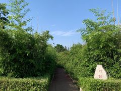 -莱西月湖公园