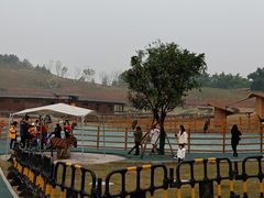 -黄龙溪欢乐田园