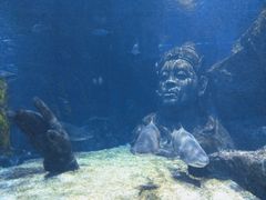 -暹罗海洋世界