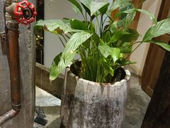 -几荷·恰似故人来(秀水广场店)