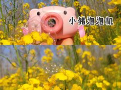 -合肥滨湖国家森林公园