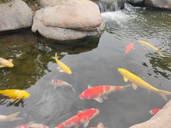 -罗红摄影艺术馆