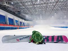-绍兴启迪乔波冰雪世界