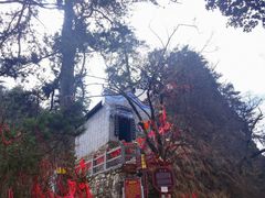 -塔云山