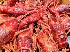 -靓靓蒸虾·头牌蒸虾(雪松路总店)